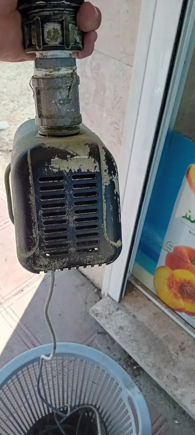 وان ماهی|ماهی|تالش, تالش|دیوار