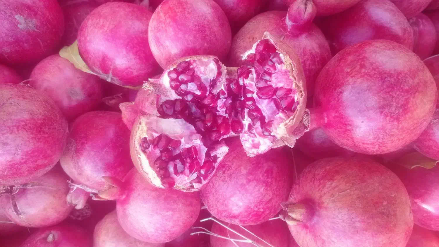 انار درجه یک با تناژ بالا سیاب|خوردنی و آشامیدنی|کوهنانی, |دیوار