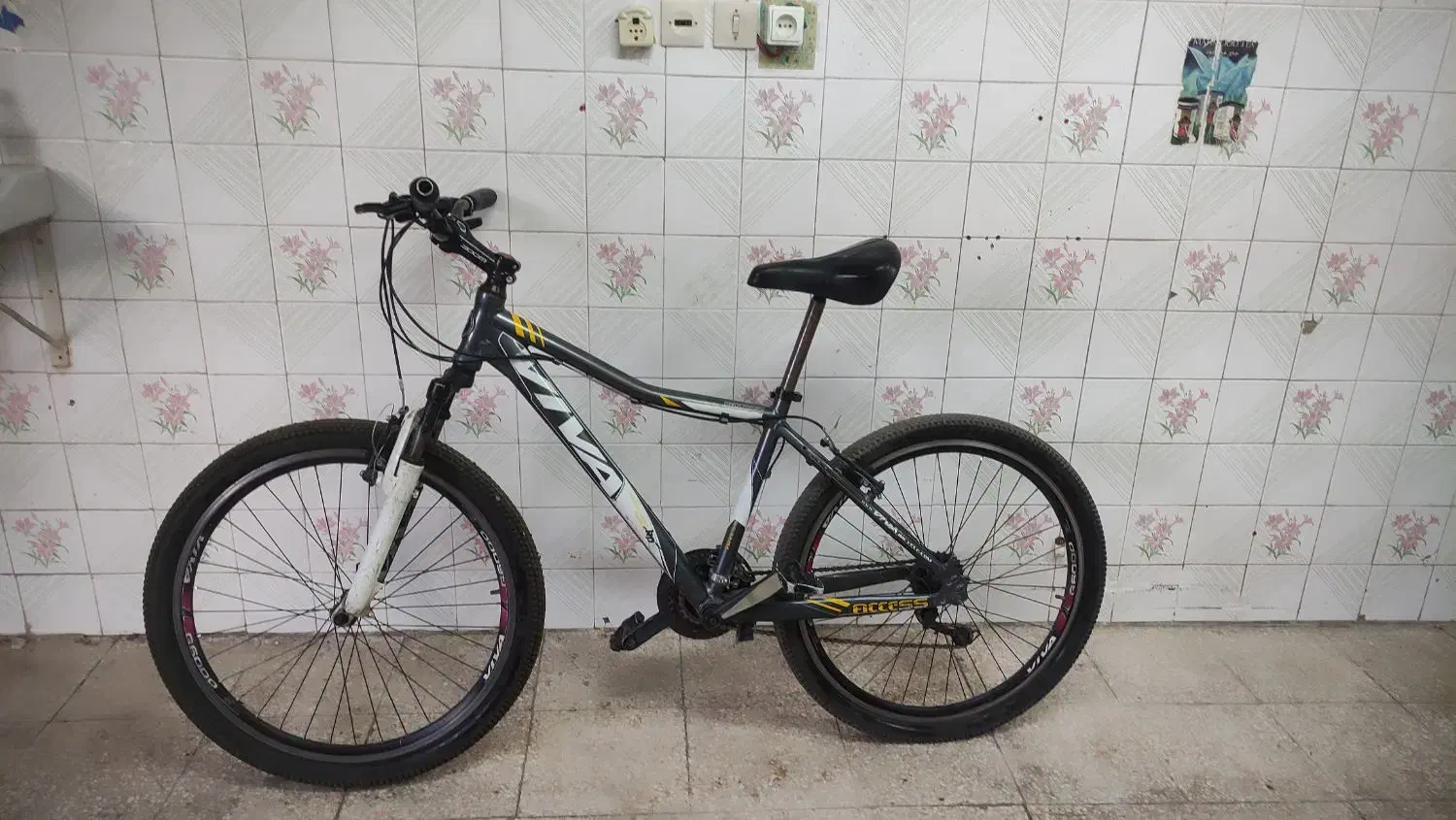 دوچرخه ویوا المینت|دوچرخه، اسکیت، اسکوتر|مراغه, |دیوار