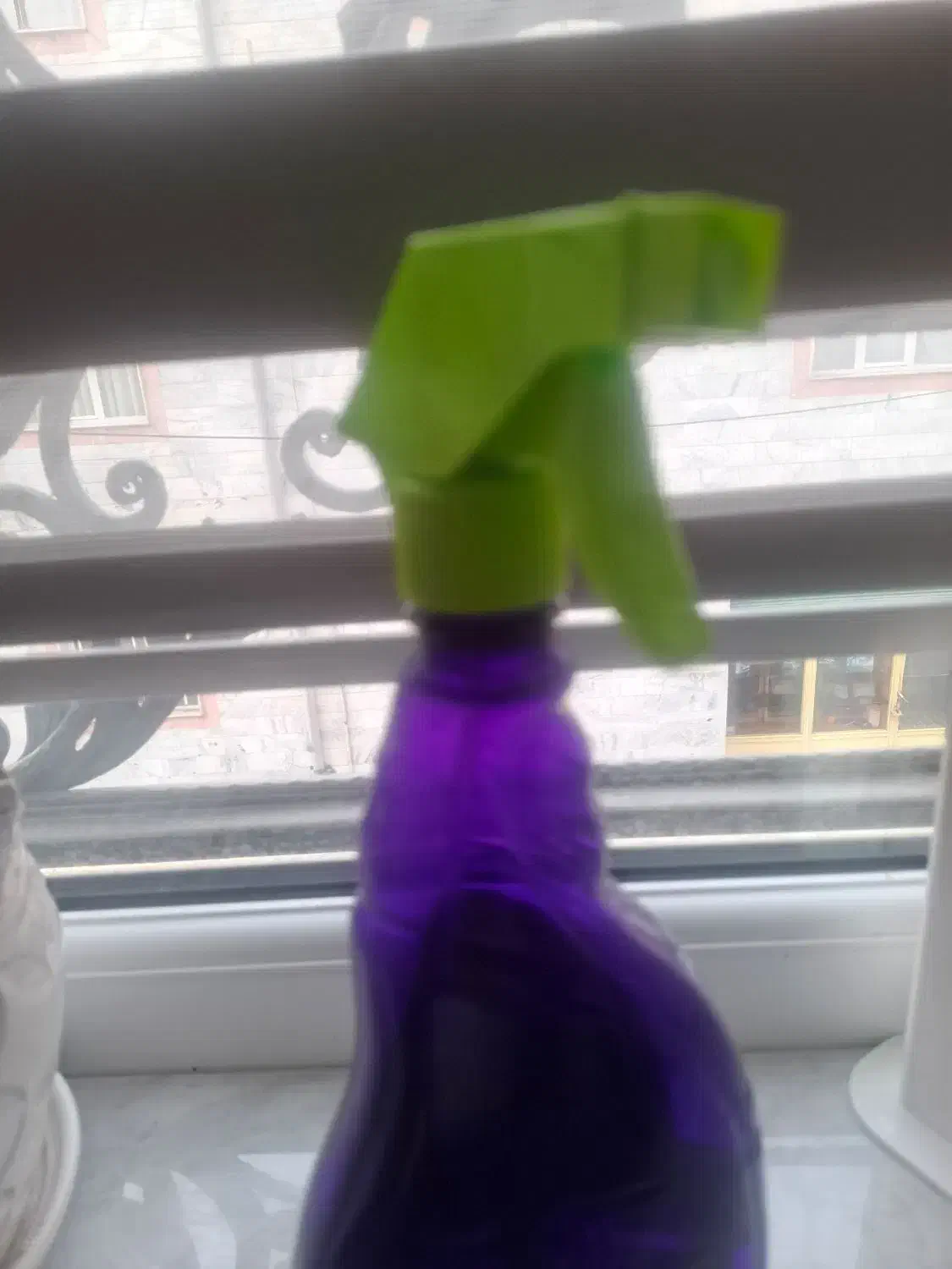 نظافتچی|خدمات نظافت|تهران, پاسداران|دیوار