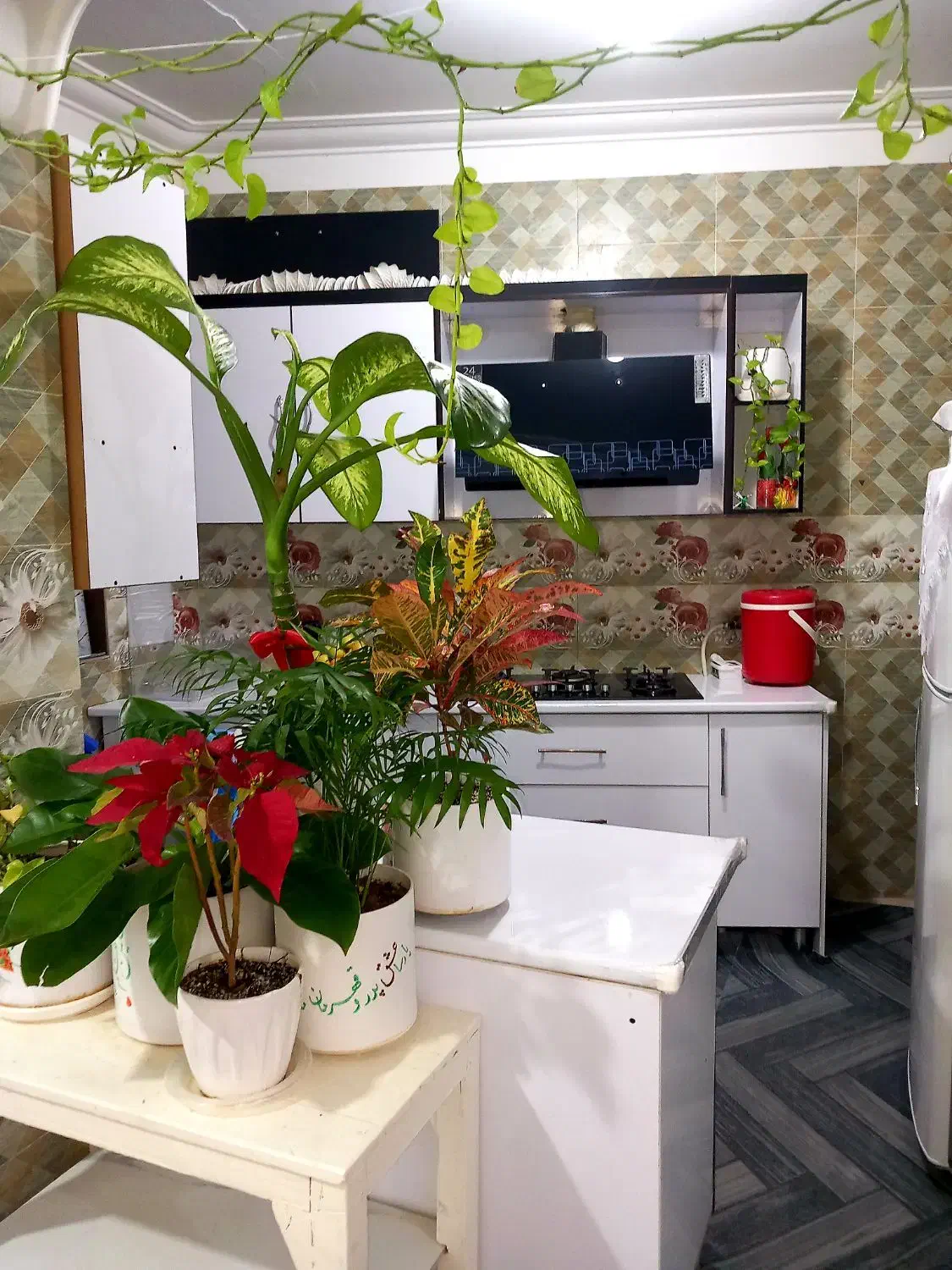 خانه اجاره ای|اجارهٔ خانه و ویلا|جم, |دیوار