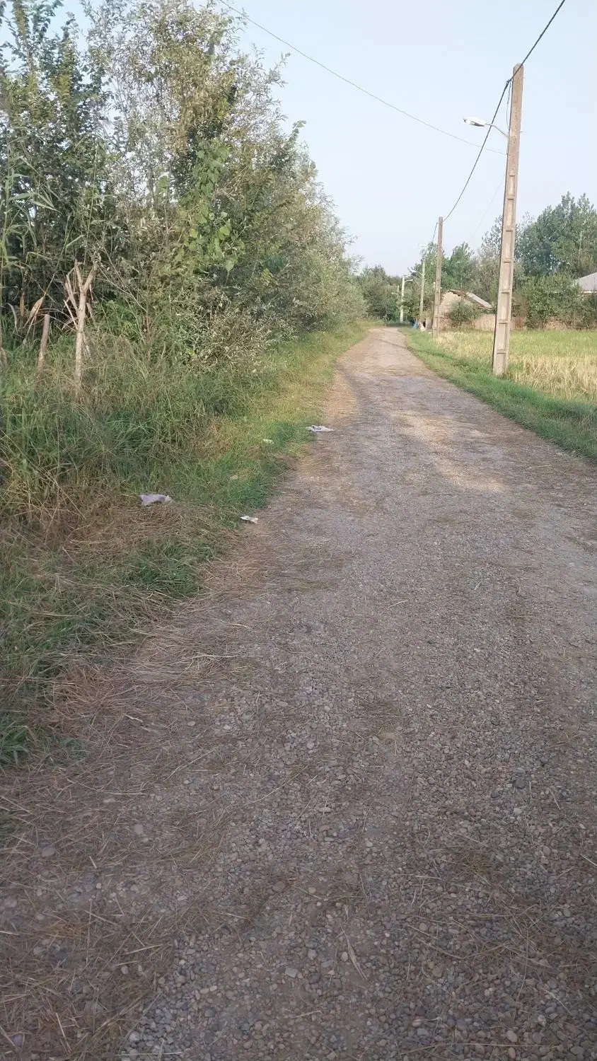 زمین باغی|فروش زمین و ملک کلنگی|احمدسرگوراب, |دیوار