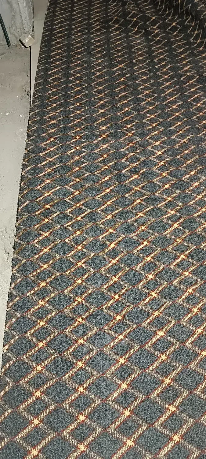 ۴۰ متر پالاز موکت نو نو ،،بازدید شیروان|موکت|بجنورد, |دیوار