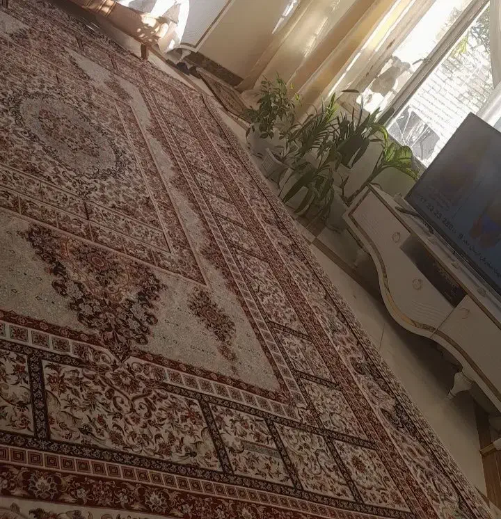 رو فرشی کش دار نو۱۲ متری|روفرشی|چناران, |دیوار