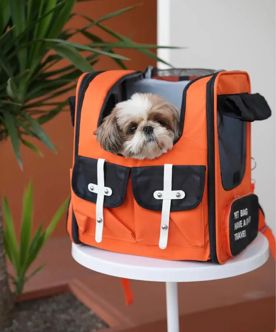 نیازمند ادمین حرفه ای|استخدام رایانه و فناوری اطلاعات|شیراز, انجیره|دیوار