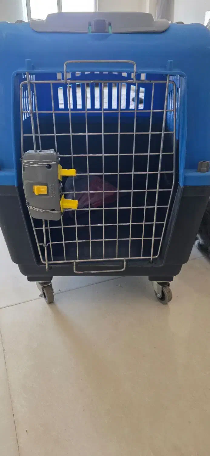 باکس حمل سگ و گربه|لوازم جانبی حیوانات|باغستان, |دیوار