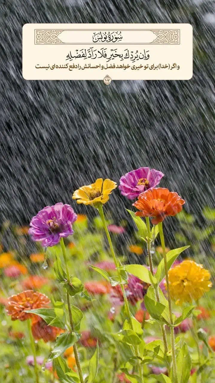 گمشده|اشیا|بوشهر, |دیوار