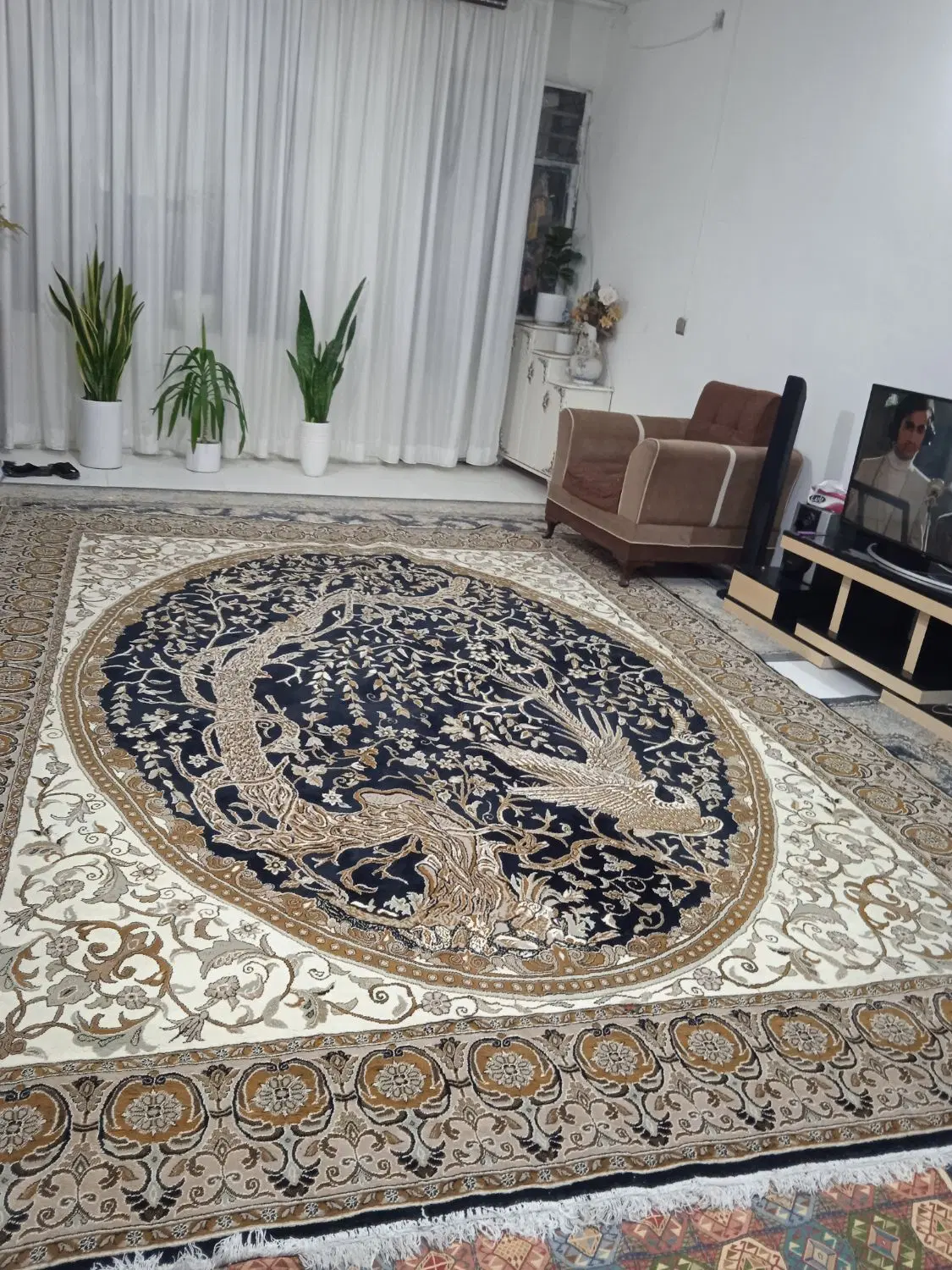 فرش|فرش|چناران, |دیوار