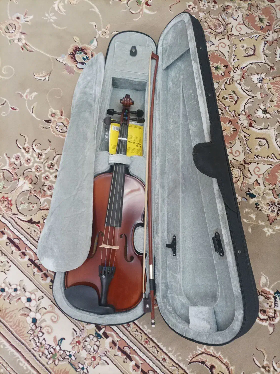 ویلن ویولن استیودنت|ویولن|تهران, صاحب الزمان|دیوار