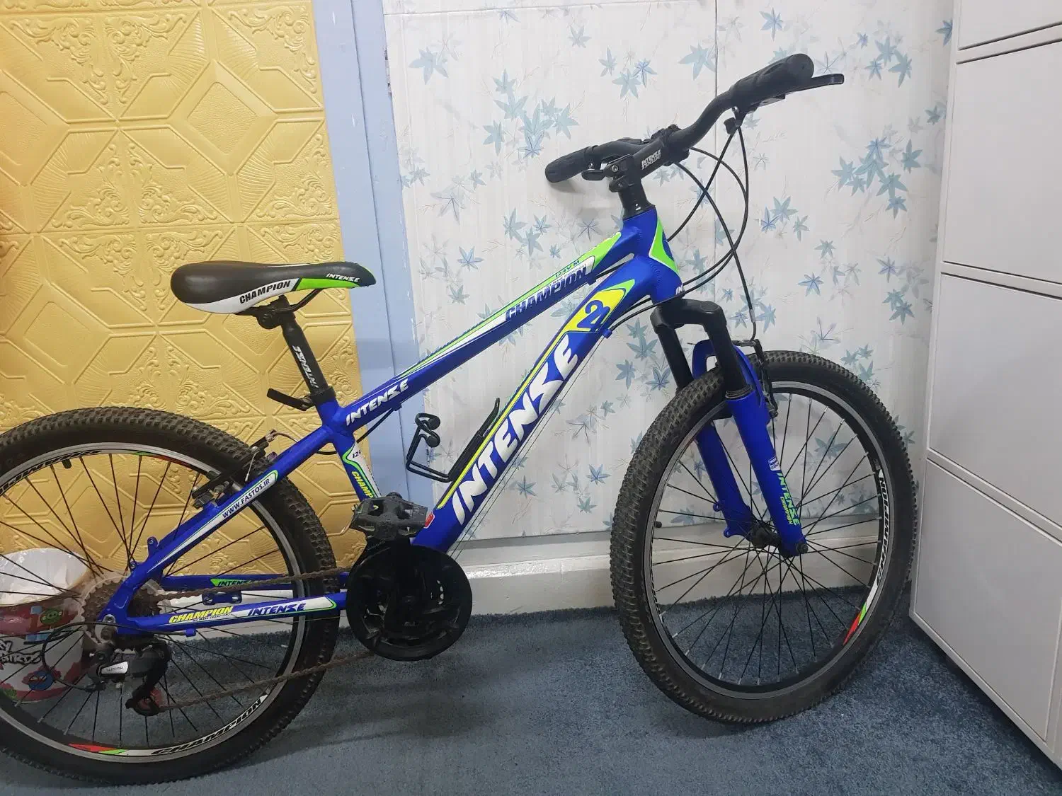 دوچرخه|دوچرخه، اسکیت، اسکوتر|بوشهر, |دیوار