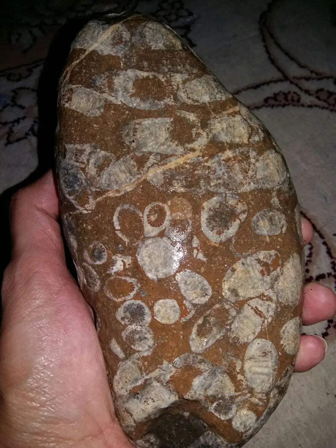 سنگ طبیعی|کلکسیون اشیاء عتیقه|علی‌آباد کتول, |دیوار