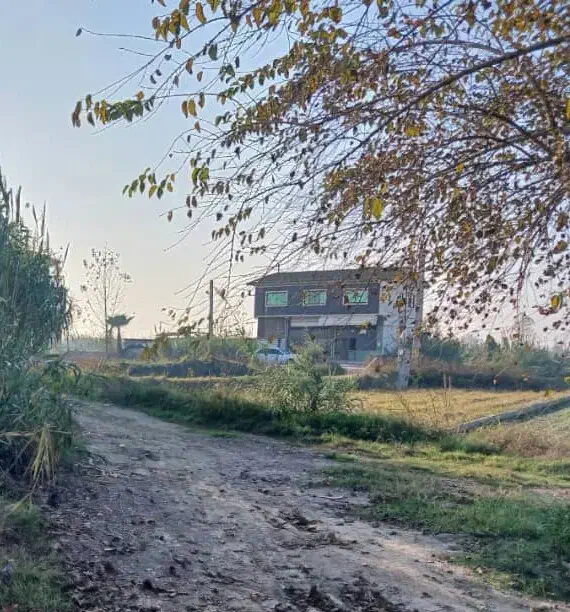 زمین باغ|فروش زمین و ملک کلنگی|دابودشت, |دیوار