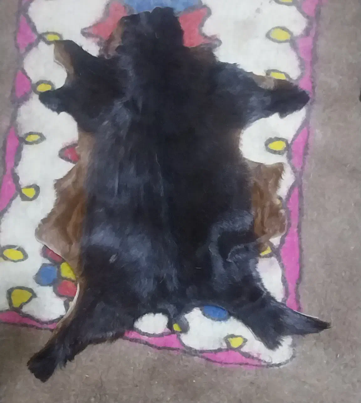 پوست بز|روفرشی|تهران, دهم فروردین|دیوار