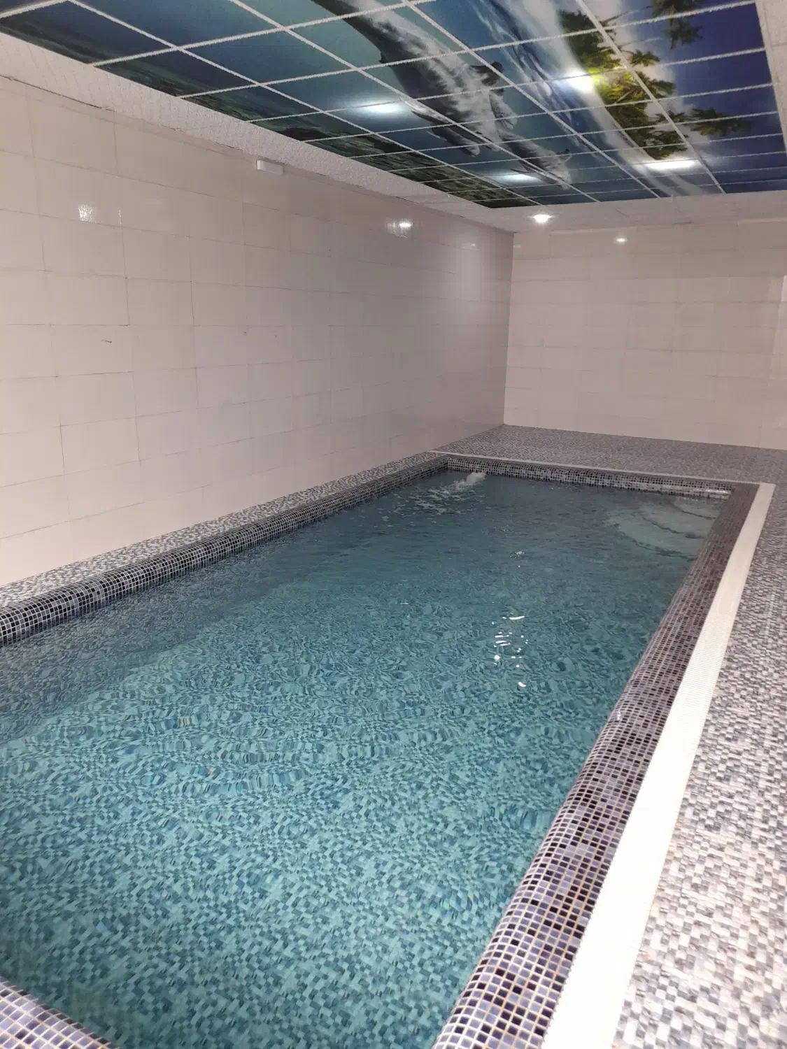 باغ ویلا اجاره استخر آبگرم آب گرم|اجارهٔ کوتاه‌مدت ویلا و باغ|مشهد, میان ولایت|دیوار