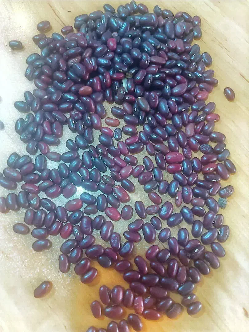 حبوبات لو بیا فقط 90|عمدهفروشی|چگنی, |دیوار