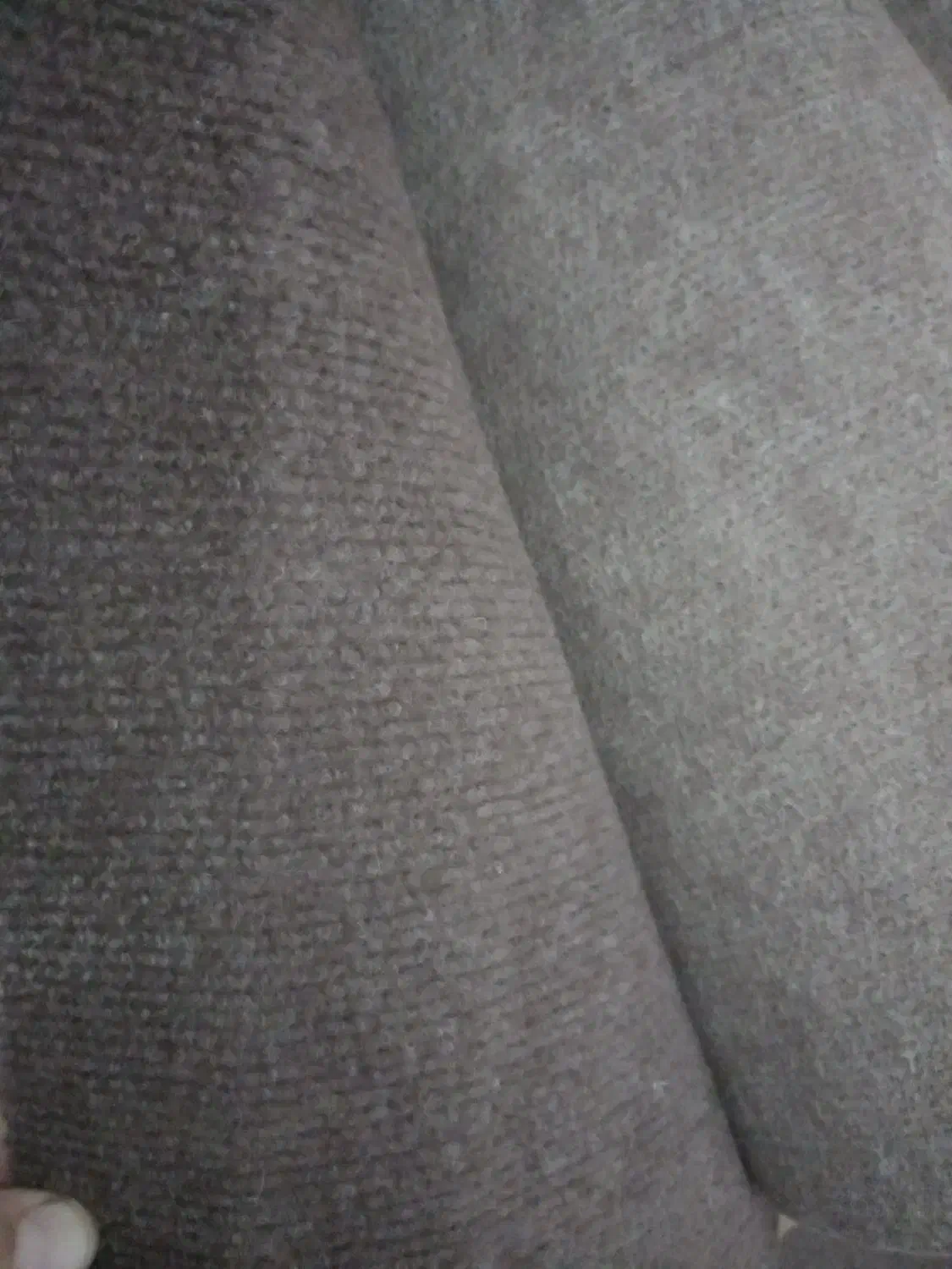 موکت|موکت|گنبد کاووس, |دیوار