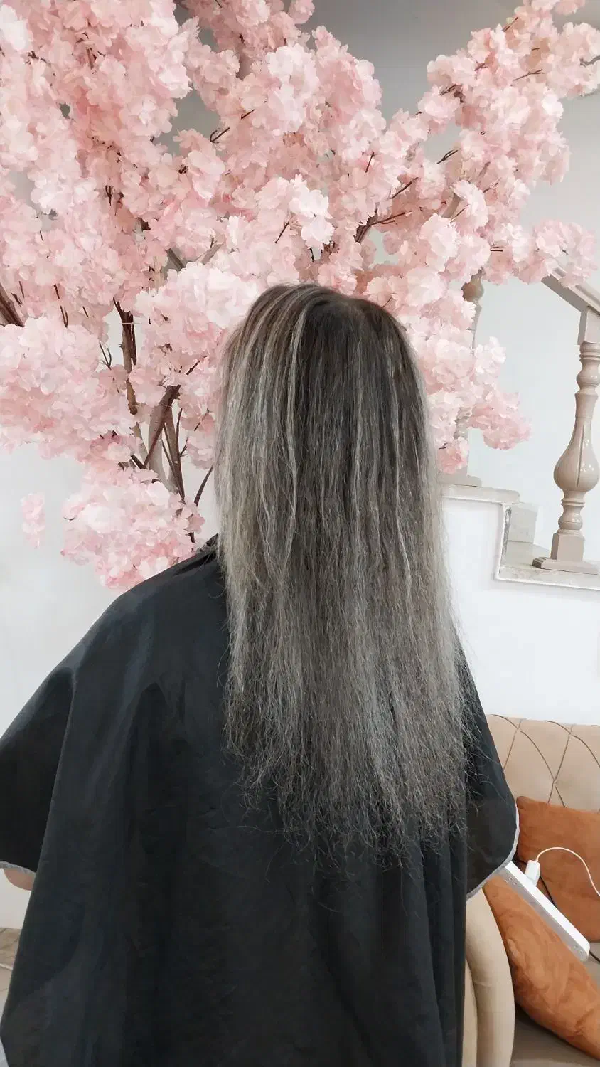 تخفیف ویژه یلدا|خدمات آرایشگری و زیبایی|تربت جام, نظامی|دیوار