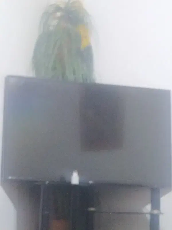 تلوزیون ۴۲دنای|تلویزیون و پروژکتور|الیگودرز, |دیوار