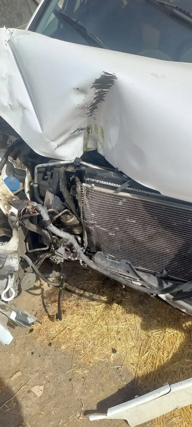 206 V8|خودرو سواری و وانت|همدان, |دیوار