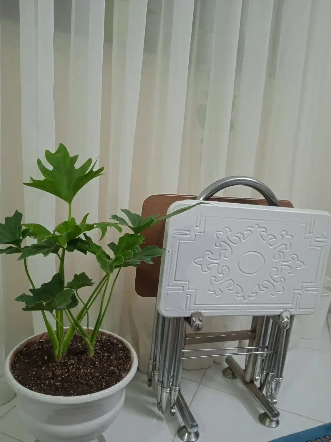 میز عسلی|مبلمان خانگی و میز عسلی|لار, |دیوار