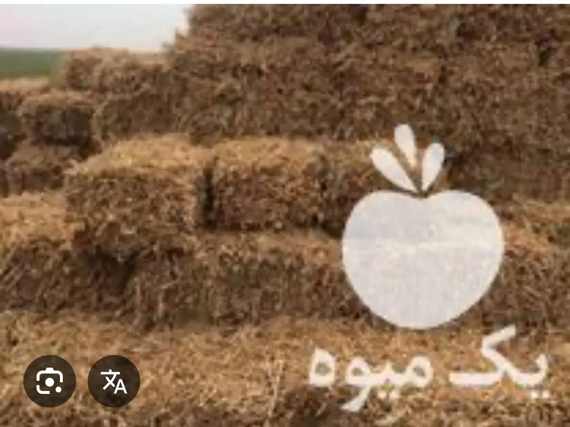 فروش کاه سویا+لوبیا روغنی|حیوانات مزرعه|ساری, |دیوار