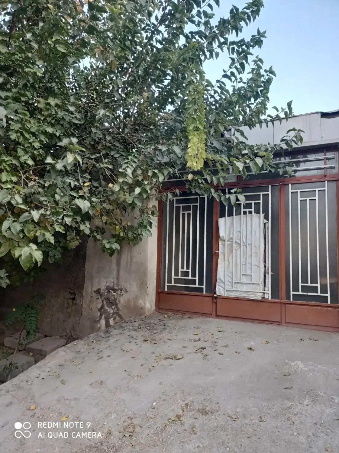 یک باب مغازه شهر ابریشم محله باغ ابریشم|اجارهٔ مغازه و غرفه|ابریشم, |دیوار