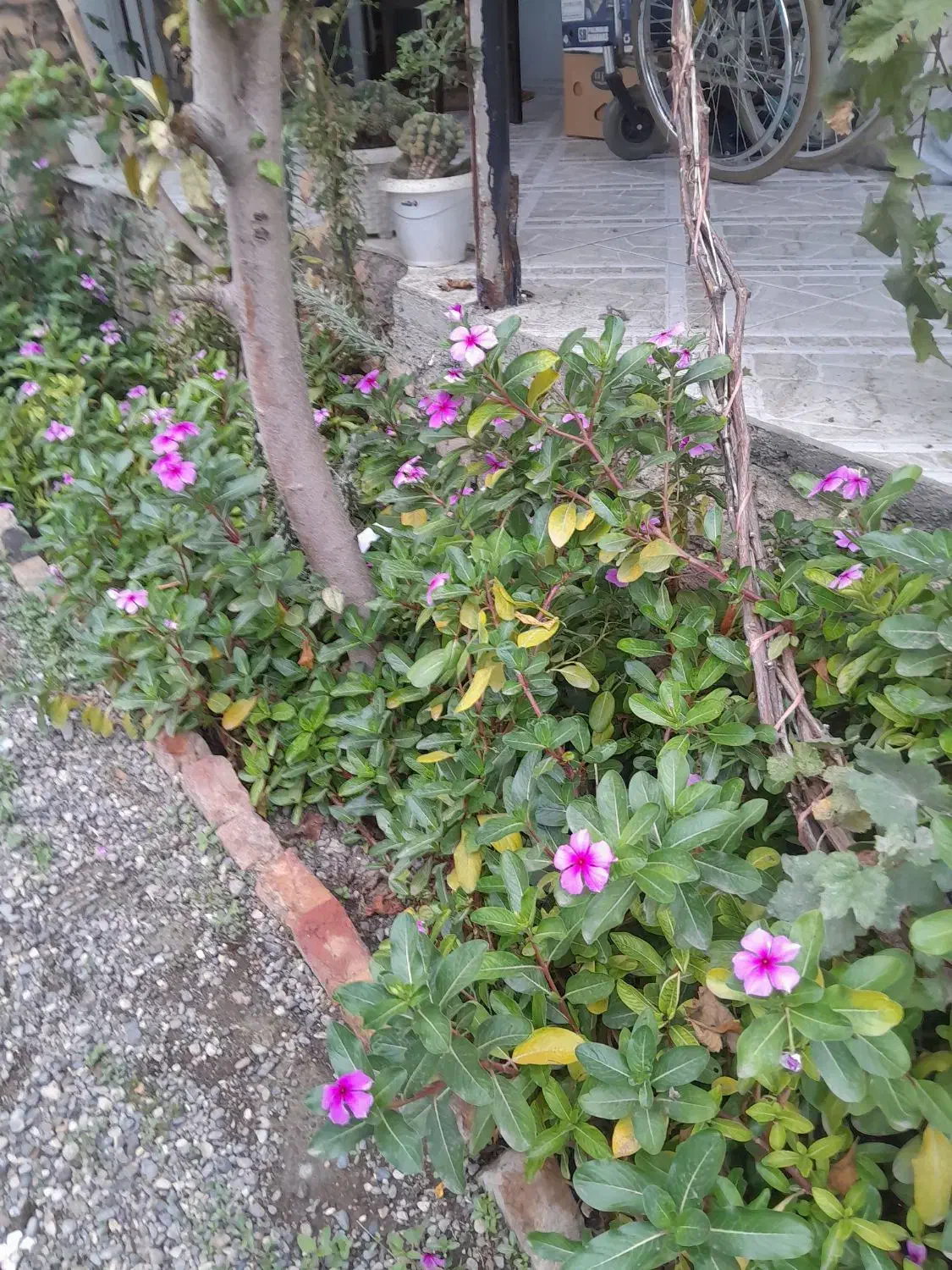 به یک خانم برای نظافت منزل نیازمندم|استخدام سرایداری و نظافت|علیآباد کتول, |دیوار