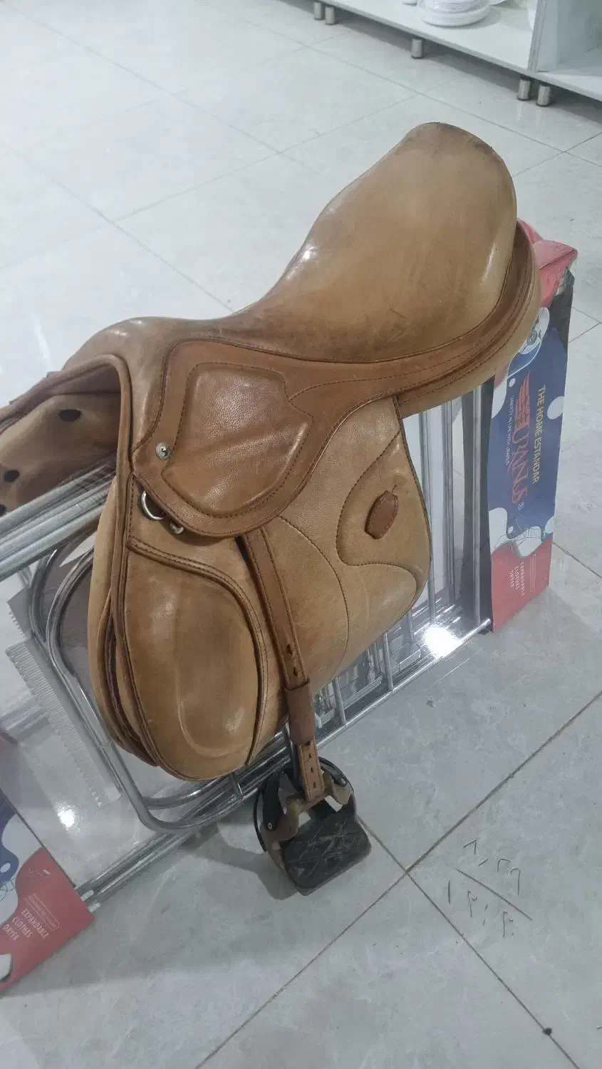 زین اسب|اسب و تجهیزات اسب‌سواری|الوند, |دیوار