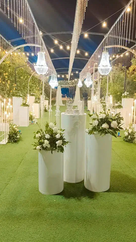 تشریفات مجالس عروسی|خدمات پذیرایی، مراسم|برازجان, |دیوار