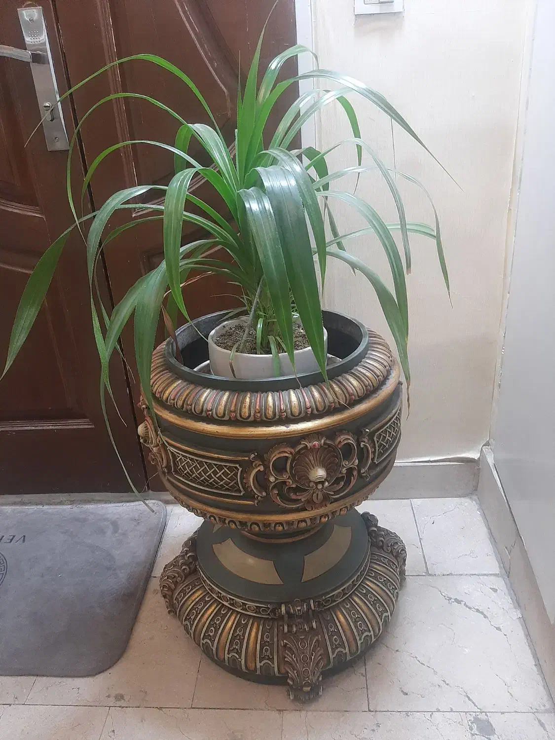 گلدان کنارسالنی|گل و گیاه طبیعی|تهران, صادقیه|دیوار