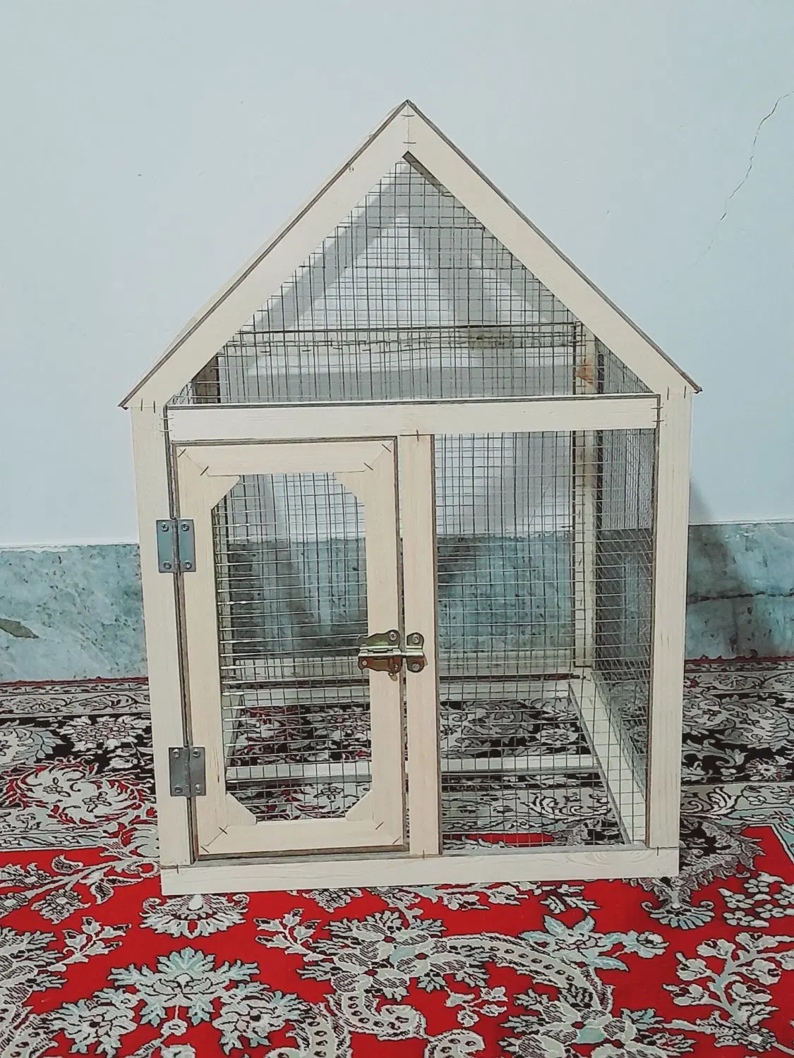 قفس|پرنده|بیرجند, |دیوار