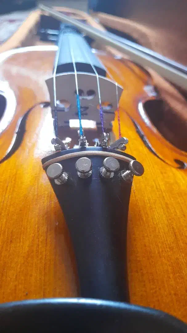 ویولن دست ساز|ویولن|فیروزآباد (فارس), |دیوار