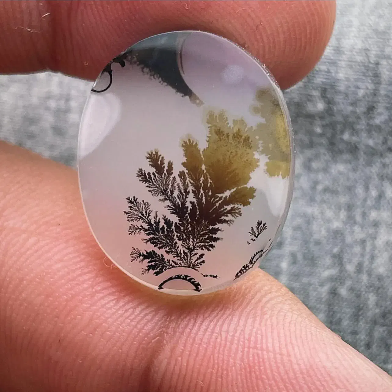 شجر قاین کلکسیونی|جواهرات|قائن, |دیوار