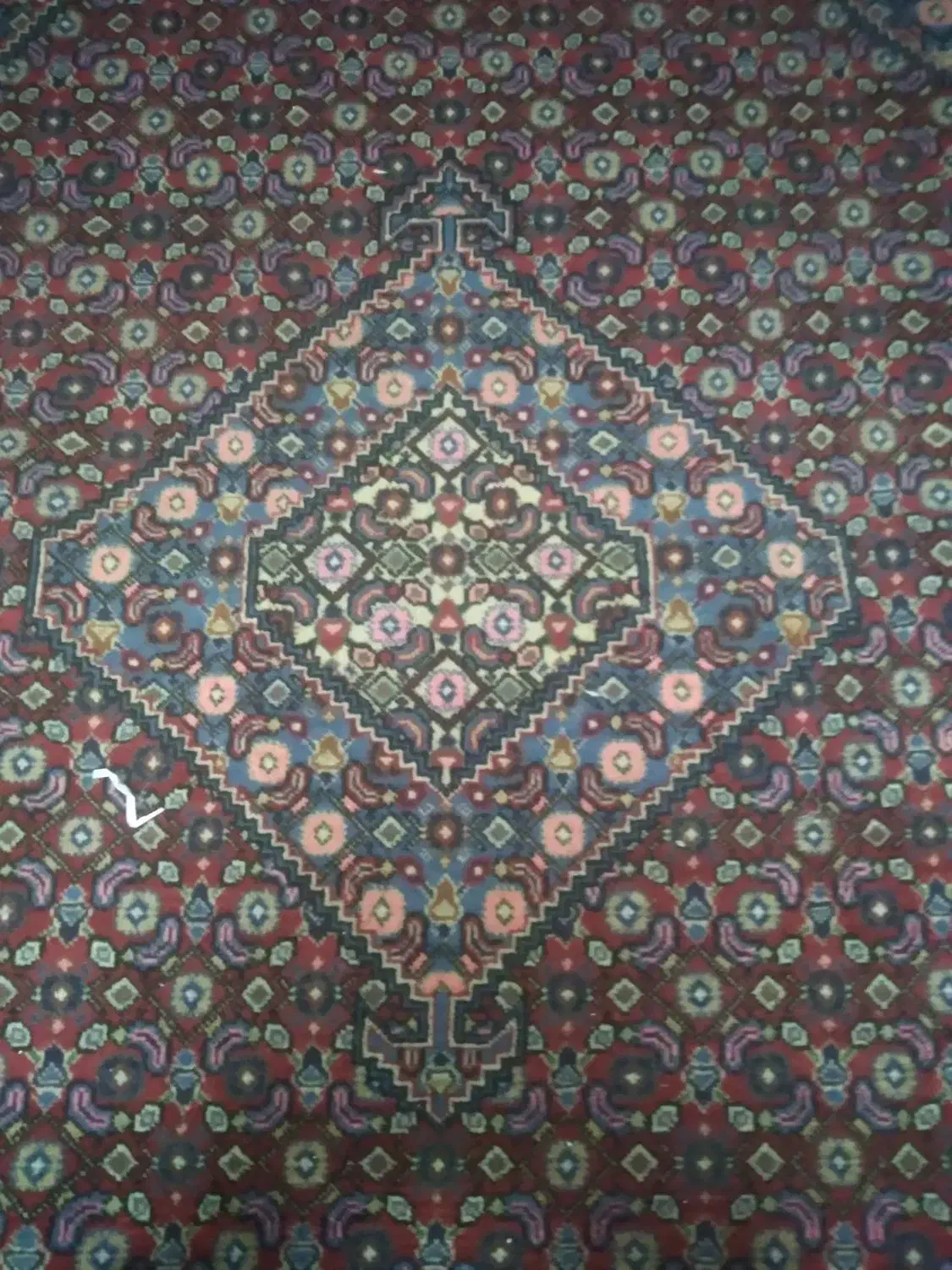 فرش|فرش|تهران, بوستان بعثت (باغ آذری)|دیوار