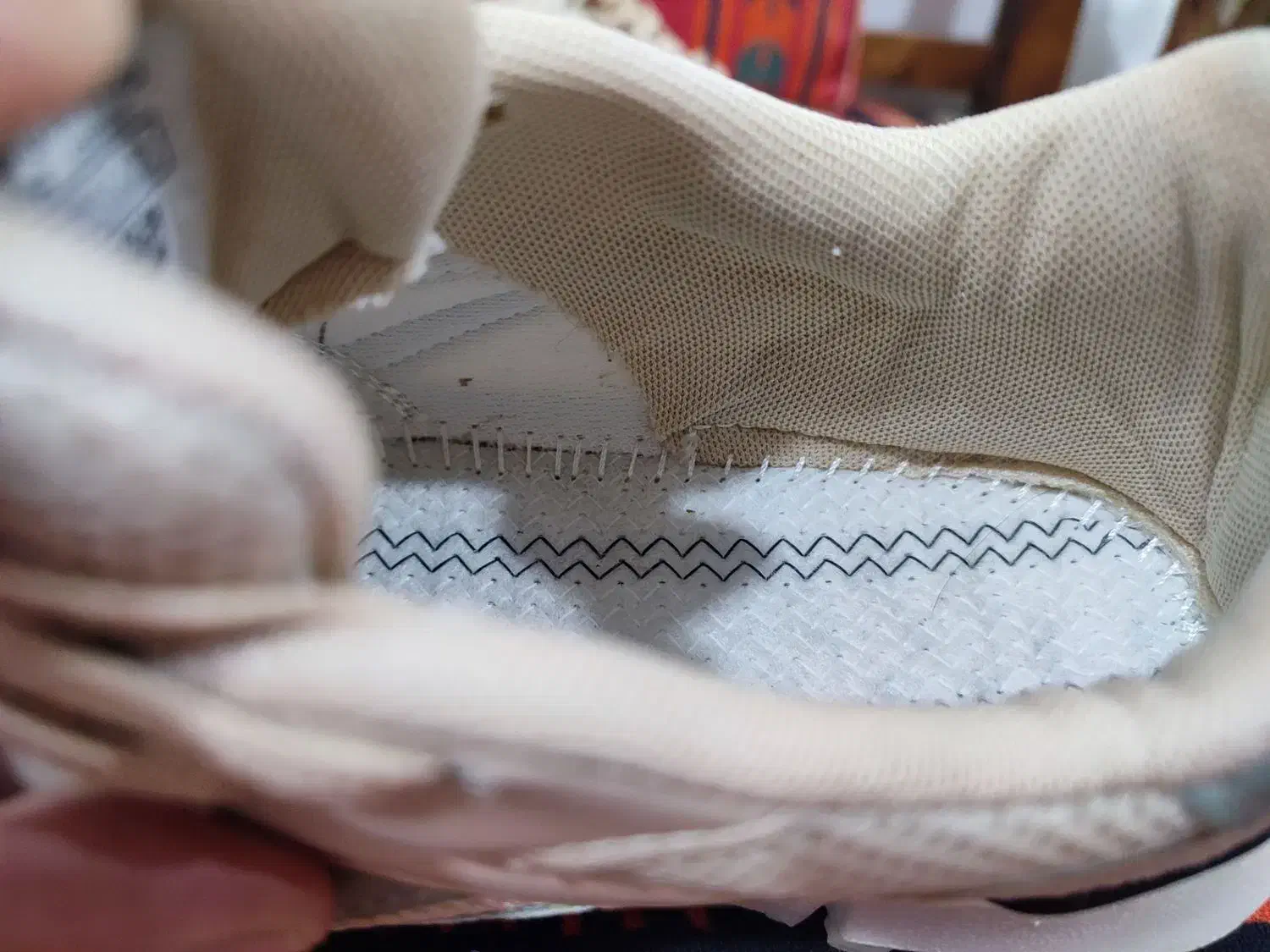 کفش|کیف، کفش، کمربند|زابل, |دیوار