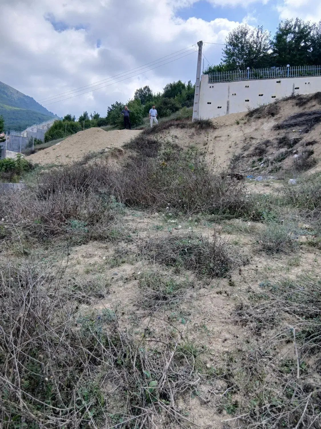 زمین 230 متر در بافت واقع در روستای لنگر|فروش زمین و ملک کلنگی|کیاسر, |دیوار