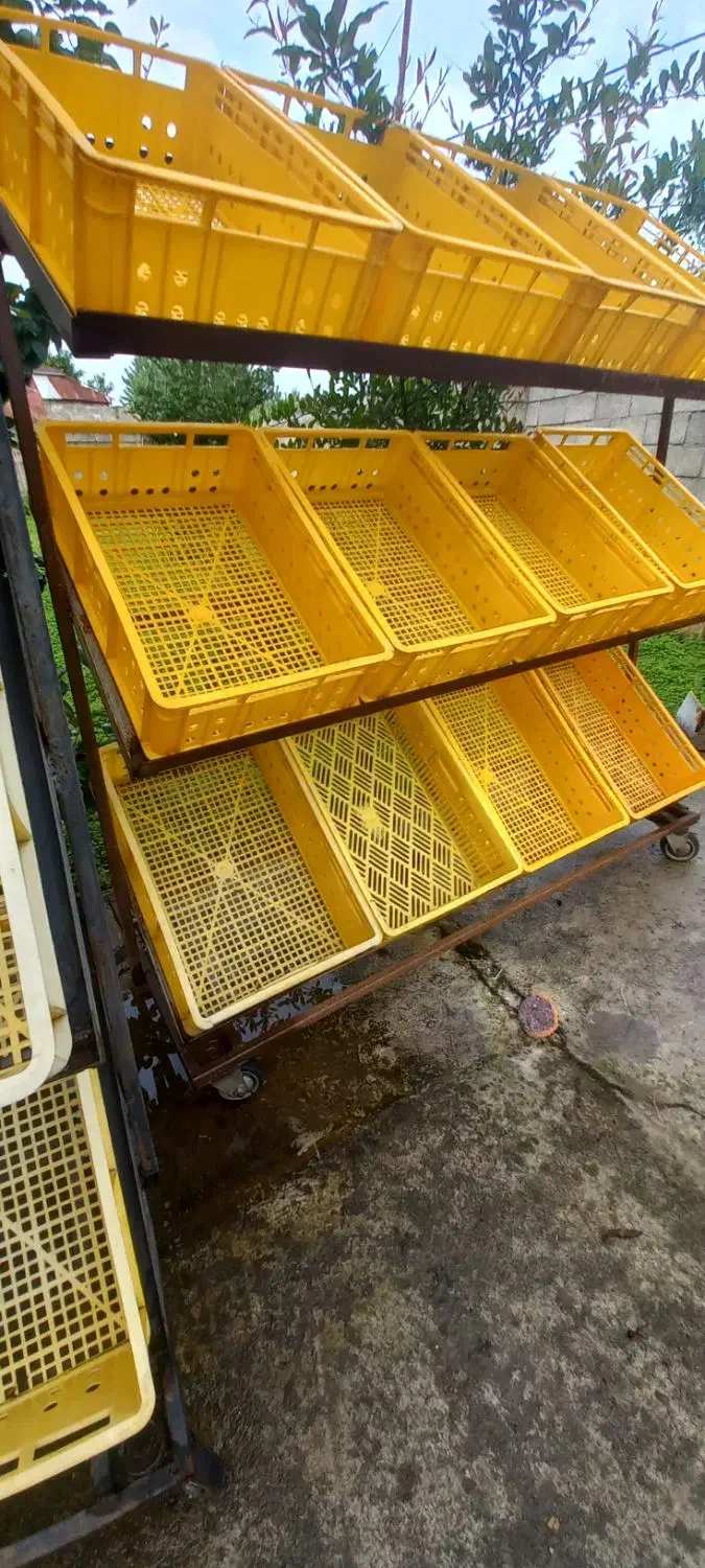 ۳ عدد استند میوه و فروشگاهی|فروشگاه و مغازه|شلمان, |دیوار