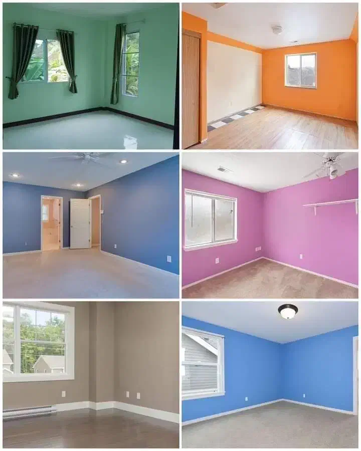 نقاشی ورنگ کاری ساختمانی|خدمات پیشه و مهارت|ساوه, |دیوار