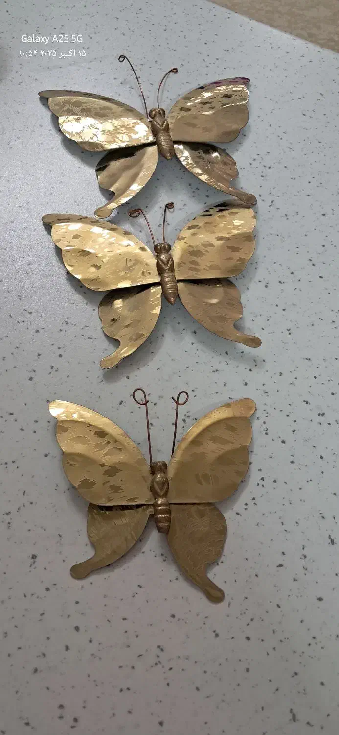 پروانه دیوار کوب|مجسمه، تندیس، ماکت|قم, شاه سید علی|دیوار