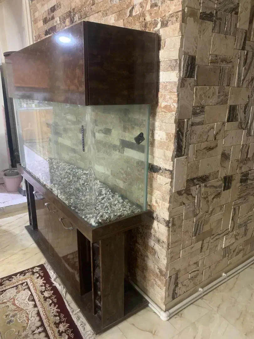 اکواریوم بزرگ 1/5 متری با شیشه ده میل|ماهی|پردیس, فاز ۲|دیوار