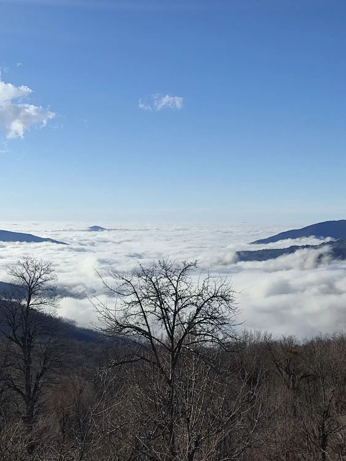 وسایل خونه تخفیف ویژه فرش،تلوزیون ،گاز،کولر|عمده‌فروشی|گرمسار, |دیوار