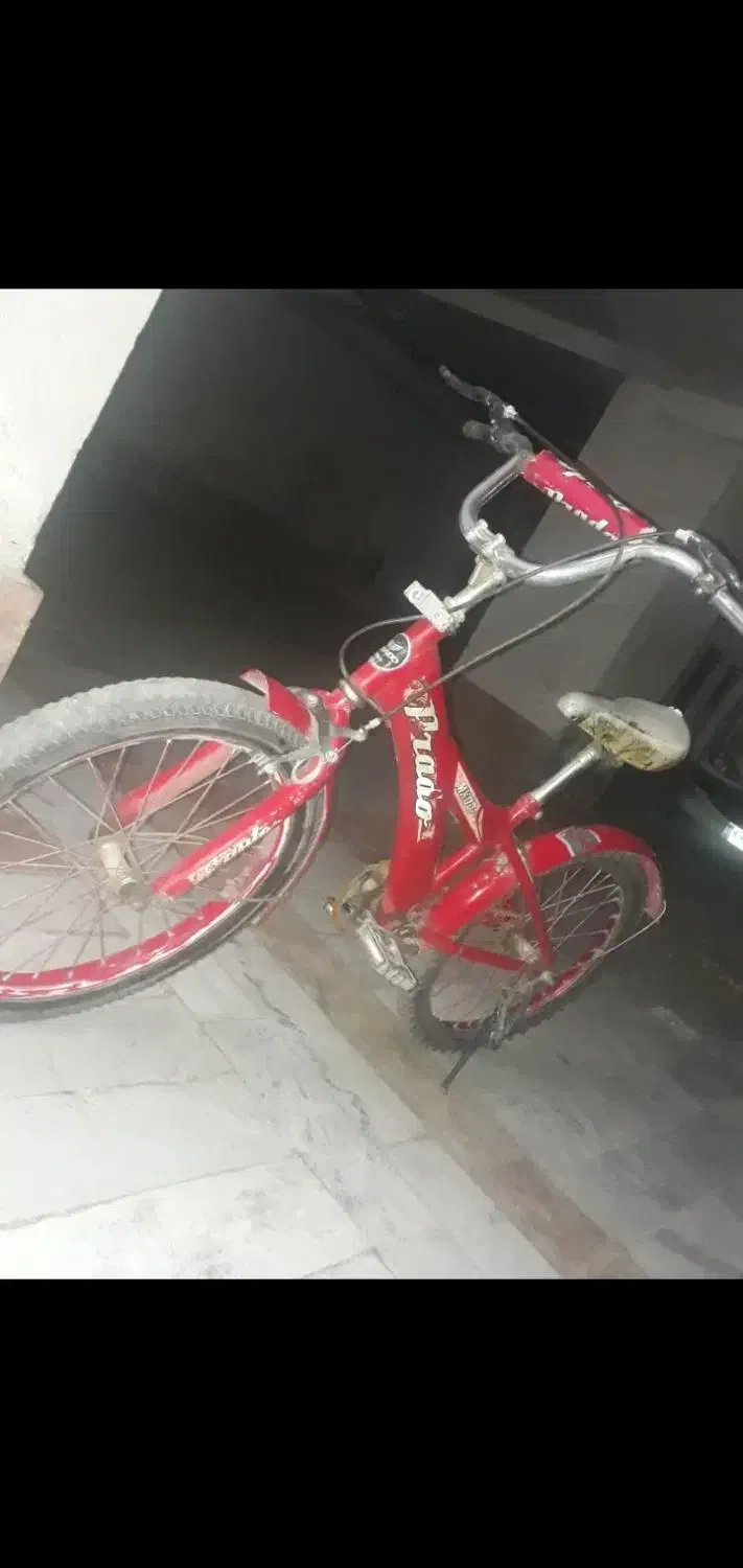 دوچرخه سایز20|دوچرخه، اسکیت، اسکوتر|شاهرود, |دیوار