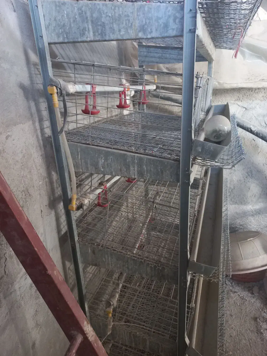 قفسه بلدرچین|لوازم جانبی حیوانات|کردکوی, |دیوار