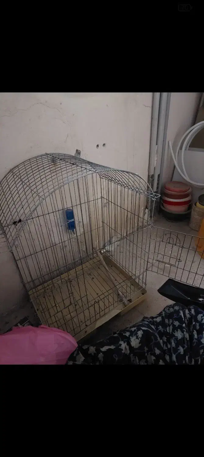 قفس طوطی|لوازم جانبی حیوانات|کرج, منطقه ویژه اقتصادی پیام|دیوار