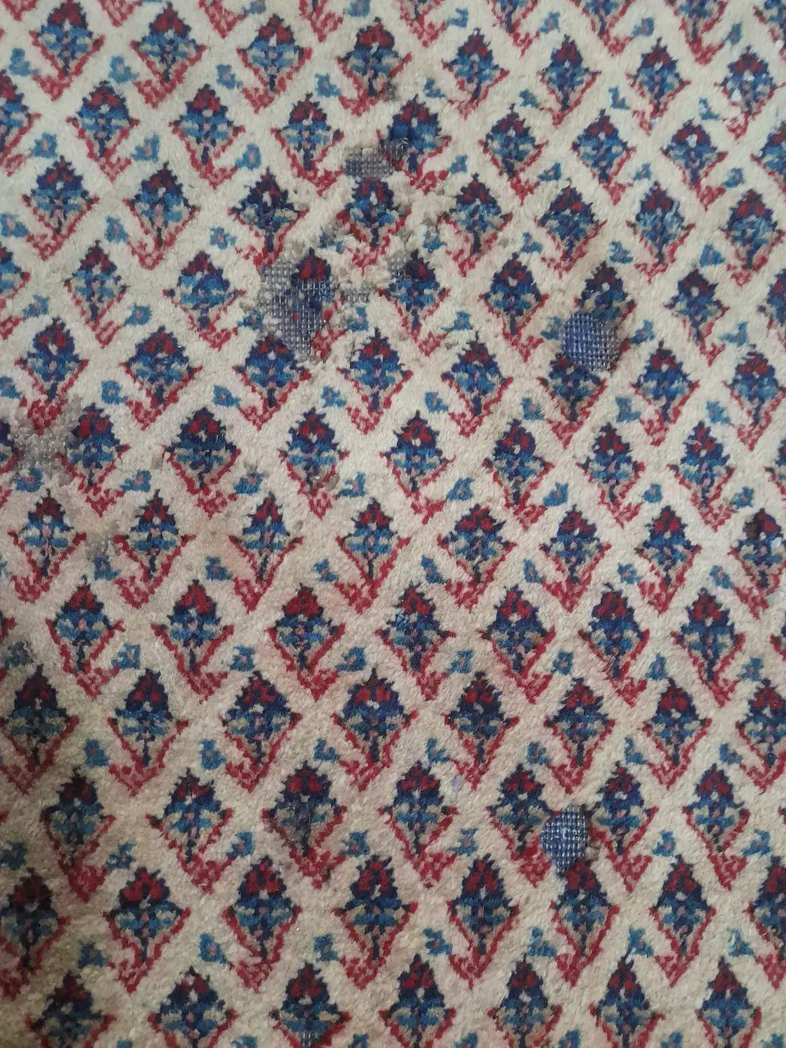 فرش دستباف|فرش|بومهن, |دیوار