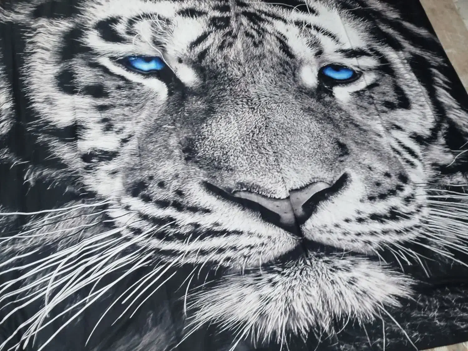 شنل پرده|پرده، رانر، رومیزی|تهران, شهرک رضویه|دیوار