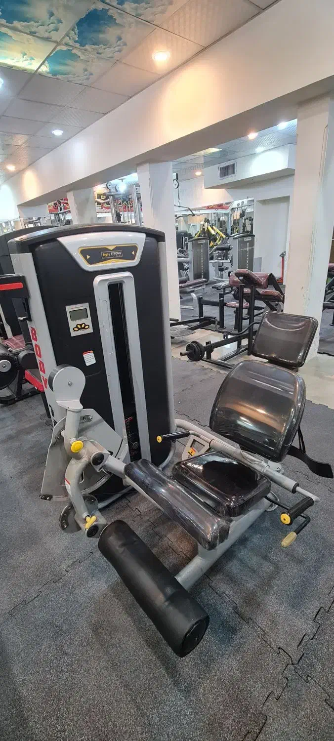 باشگاه بدنسازی جاروکش|تجهیزات ورزشی|شیراز, زرگری|دیوار