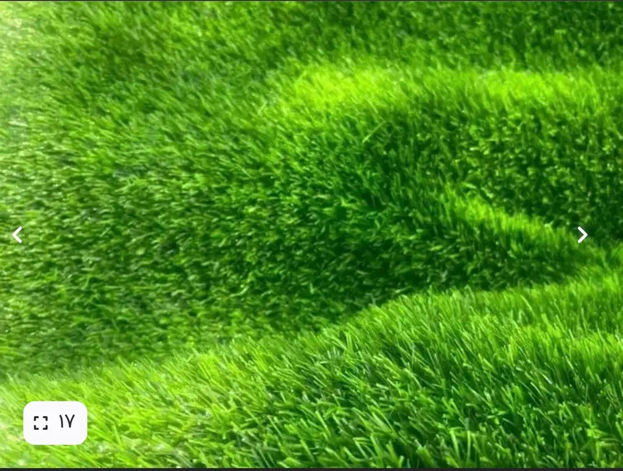 چمن مصنوعی|مصالح و تجهیزات ساختمان|گرگان, |دیوار