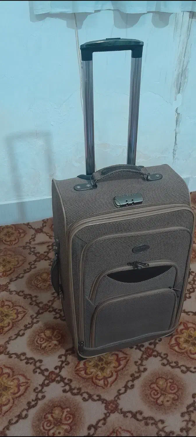 چمدان متوسط|کیف، کفش، کمربند|مشهد, موعود|دیوار