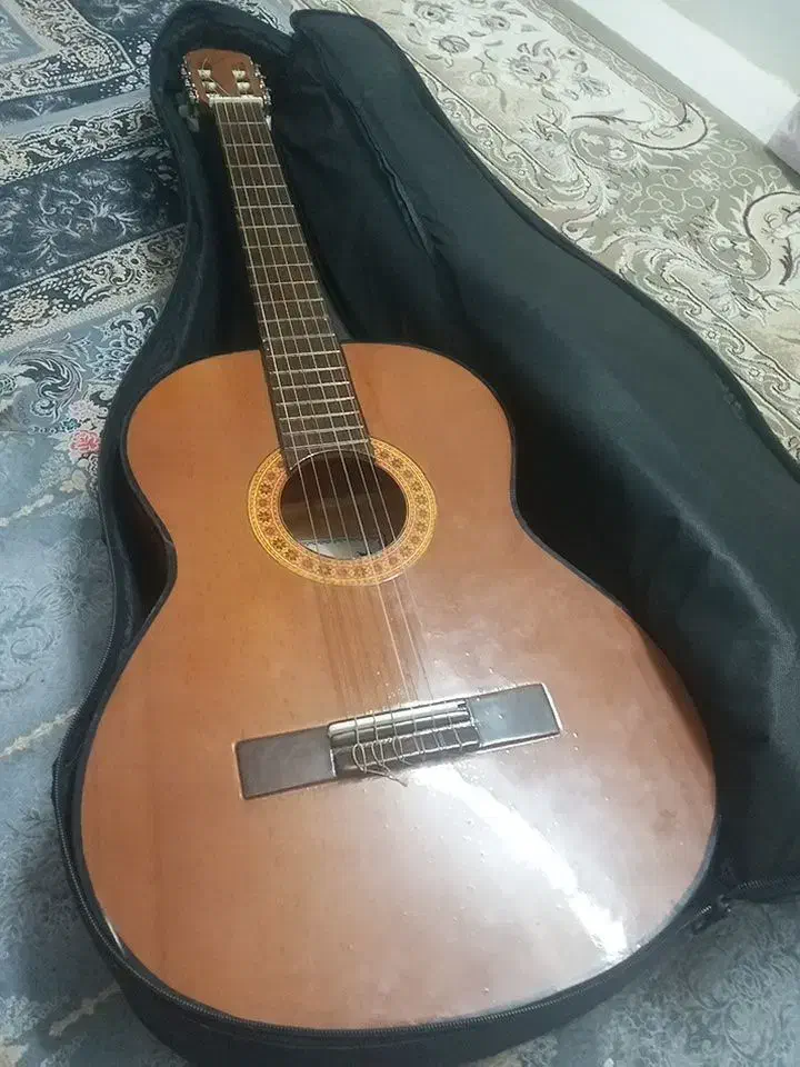 گیتار|گیتار، بیس، امپلیفایر|بافق, |دیوار